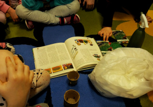 Dzieci siedzą w kole. Przed nimi leżą: książka z instrukcją uprawy rzeżuchy, wata, pojemniczki, torebki z nasionami rzeżuchy,