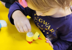 Dziewczynka sieje rzeżuchę w żółtym, plastikowym opakowaniu po Kinder Niespodziance, w którym znajduje się wata.