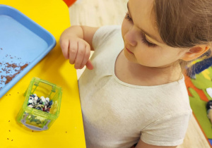 Dziewczynka przykleja plastikowe oczka do żółtego, plastikowego jajka z Kinder Niespodzianki.