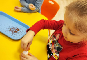 Dziewczynka sieje rzeżuchę w żółtym, plastikowym opakowaniu po Kinder Niespodziance, w którym znajduje się wata.