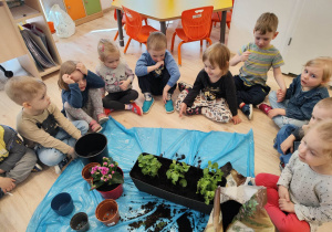 Dzieci siedzą w kole na podłodze. Na środku została rozłożona folia, na której znajdują się: ziemia, małe doniczki, duża doniczka balkonowa, do której zostały wsadzone trzy rośliny