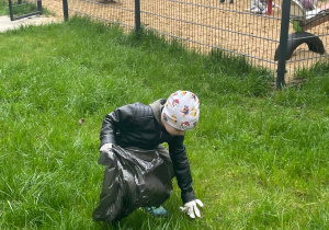 Chłopiec wrzuca do worka na śmieci znaleziony papierek. Chłopiec ma rękawiczki ochronne.