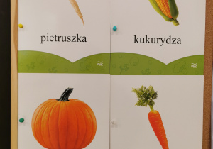 Na zdjęciu znajduje się tablica korkowa. Na tablicy umieszczone zostały 4 plansze demonstracyjne z warzywami: w lewym górnym roku pietruszka, w prawym górnym roku kukurydza, w lewym dolnym rogu dynia, w prawym dolnym rogu marchew.