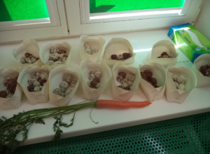 Na zdjęciu widać koszyczki, w których znajdują się "kulki mocy". Przed nimi leży marchewka.