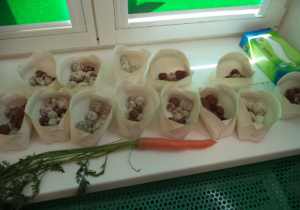 Na parapecie stoją koszyczki z "kulkami mocy". Przed nimi leży marchewka.