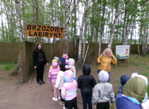 Na zdjęciu widać grupę dzieci znajdujących się przed wejściem do Brzozowego Labiryntu.