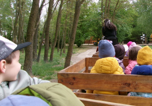 Na zdjęciu widać dzieci jadące mini ciuchcią.