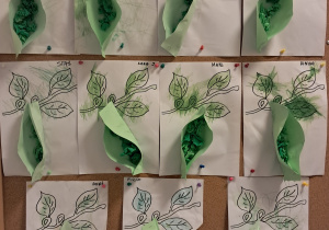 Tablica z pracami dzieci. Gałązki pomalowane przez dzieci kredkami. Do każdej przyzcepiony jest papierowy listek w kształcie kieszonki, wypełnione zielonymi kawałkami bibuły.